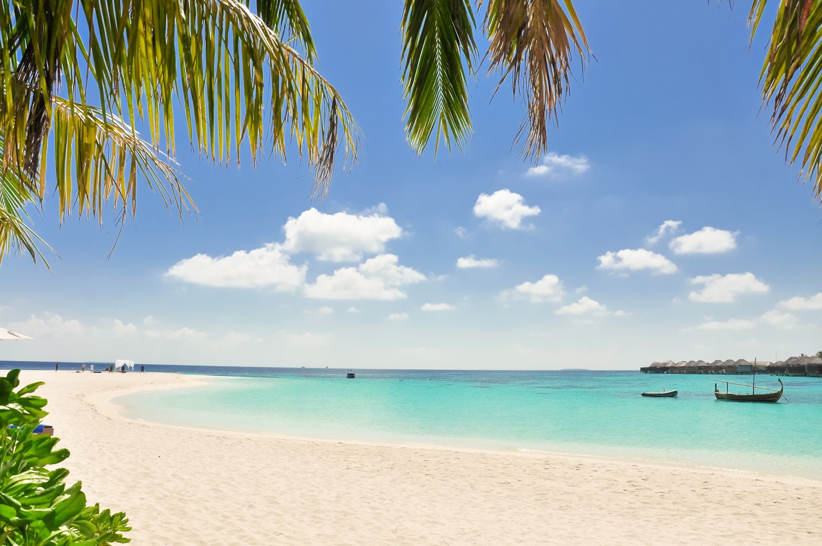 Turquoise sea lapping a white sand beach lined with palm trees